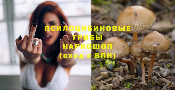ECSTASY Надым