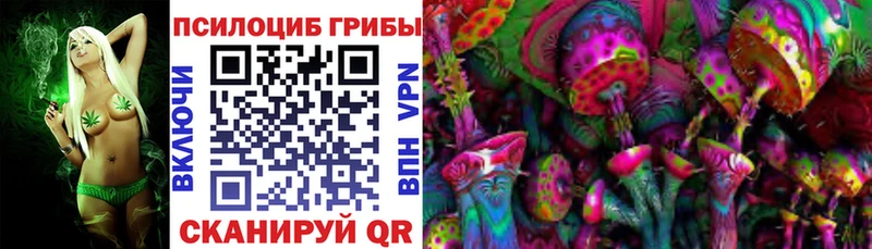 Псилоцибиновые грибы Cubensis  Кировград 